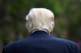 donald trump iii